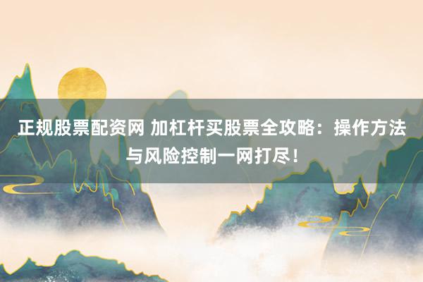 正规股票配资网 加杠杆买股票全攻略：操作方法与风险控制一网打尽！
