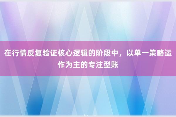 在行情反复验证核心逻辑的阶段中，以单一策略运作为主的专注型账