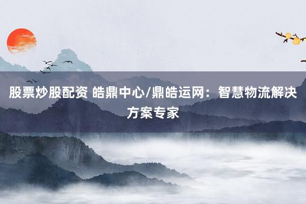 股票炒股配资 皓鼎中心/鼎皓运网：智慧物流解决方案专家