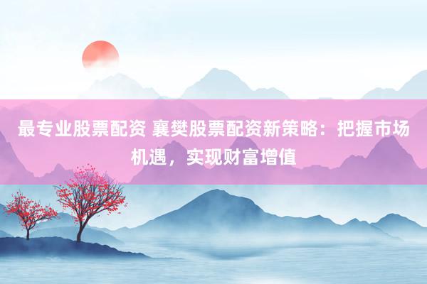 最专业股票配资 襄樊股票配资新策略：把握市场机遇，实现财富增值