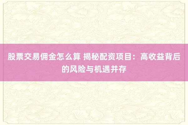 股票交易佣金怎么算 揭秘配资项目：高收益背后的风险与机遇并存