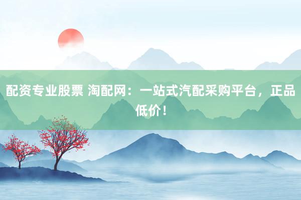 配资专业股票 淘配网：一站式汽配采购平台，正品低价！